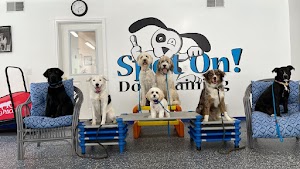 Spot On! Dog Training place picture